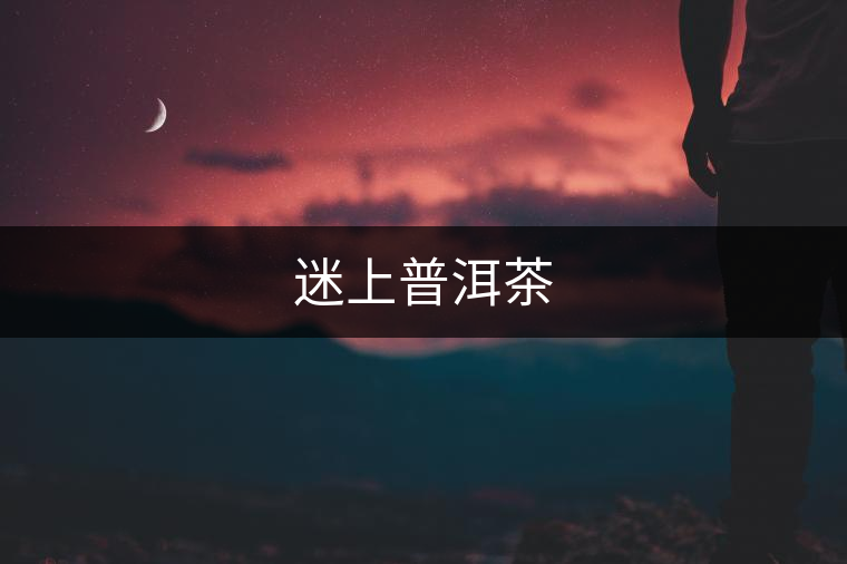 迷上普洱茶 迷上普洱茶