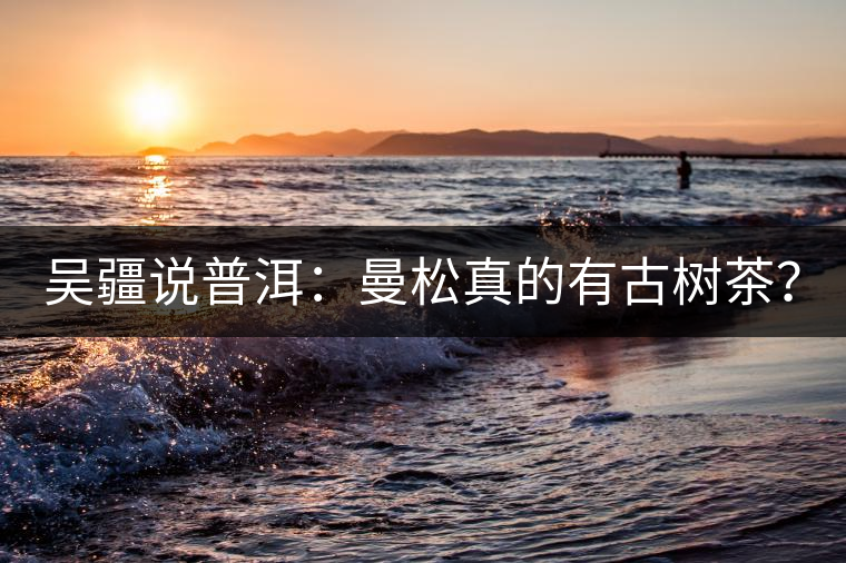 吳疆說普洱：曼松真的有古樹茶？