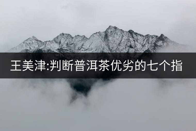 王美津:判斷普洱茶優(yōu)劣的七個指標之“質(zhì)” 王美津:判斷普洱茶優(yōu)劣的七個指標之“質(zhì)”