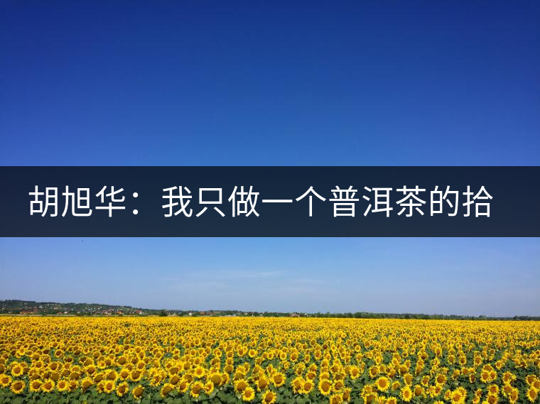 胡旭華：我只做一個(gè)普洱茶的拾荒者