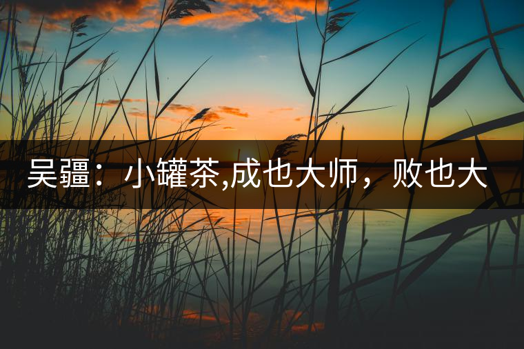 吳疆：小罐茶,成也大師，敗也大師