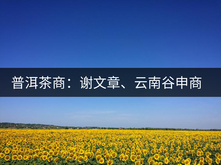 普洱茶商：謝文章、云南谷申商貿(mào)有限公司總經(jīng)理