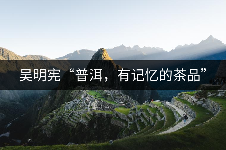 吳明憲“普洱，有記憶的茶品”