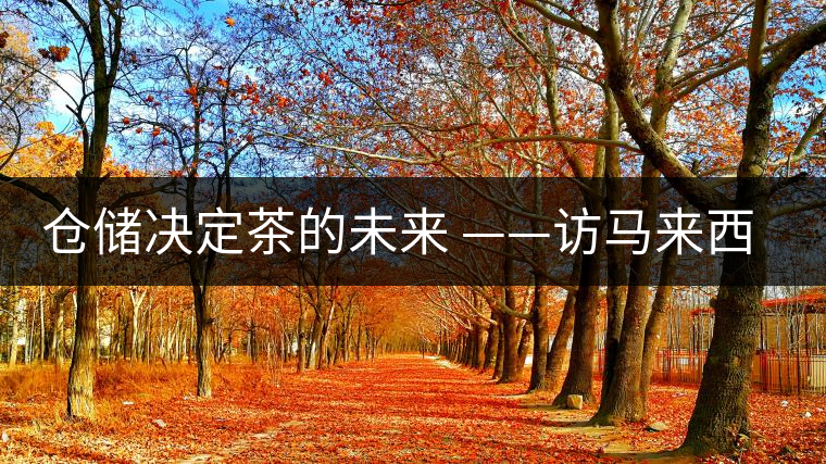 倉儲決定茶的未來 ——訪馬來西亞資深茶人 郭俊邦