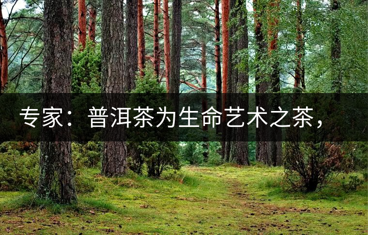 專(zhuān)家：普洱茶為生命藝術(shù)之茶，現(xiàn)低價(jià)時(shí)期可投資收茶