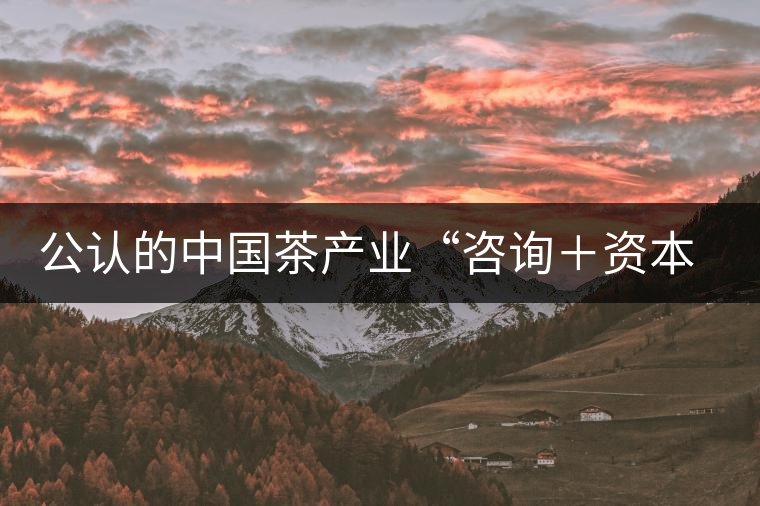 公認的中國茶產(chǎn)業(yè)“咨詢+資本”第一人:蔣同 公認的中國茶產(chǎn)業(yè)“咨詢+資本”第一人:蔣同