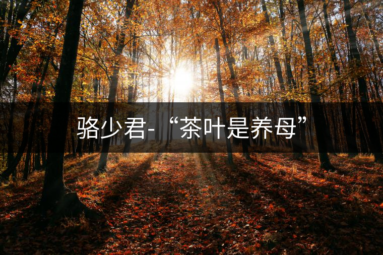 駱少君-“茶葉是養(yǎng)母” 駱少君-“茶葉是養(yǎng)母”