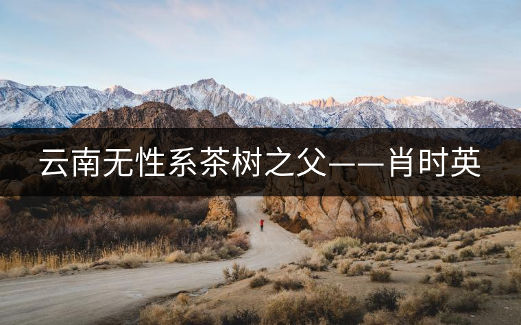 云南無性系茶樹之父——肖時英