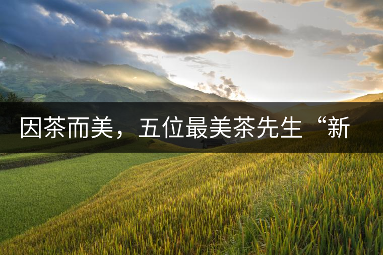 因茶而美，五位最美茶先生“新鮮出爐”啦
