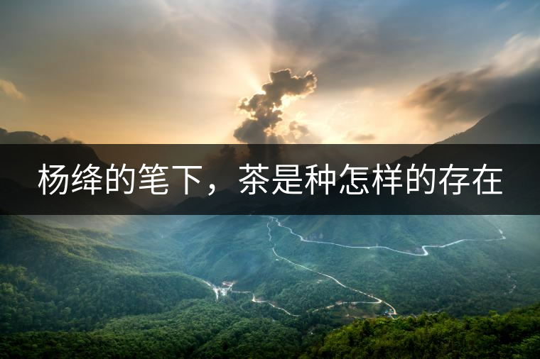 楊絳的筆下，茶是種怎樣的存在