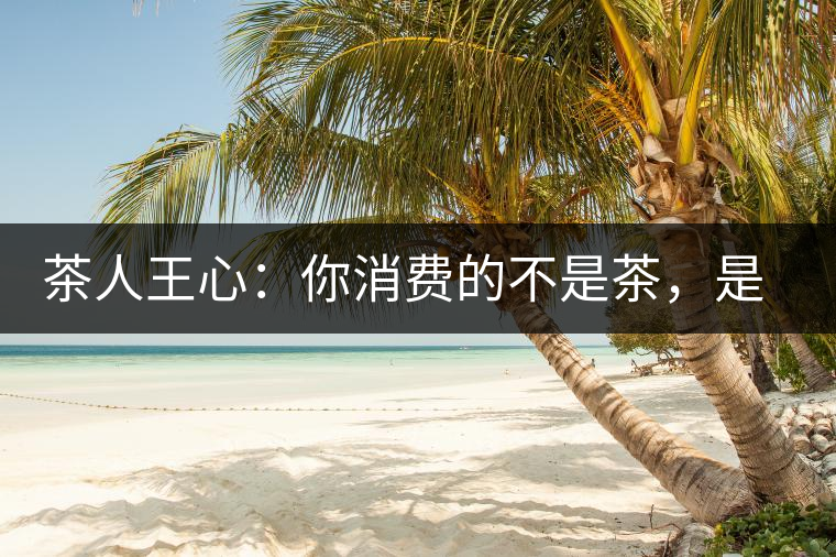 茶人王心：你消費(fèi)的不是茶，是我