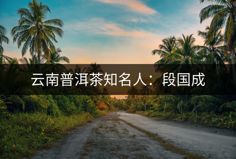 云南普洱茶知名人:段國成 云南普洱茶知名人:段國成