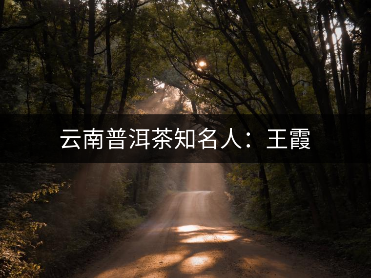 云南普洱茶知名人:王霞 云南普洱茶知名人:王霞
