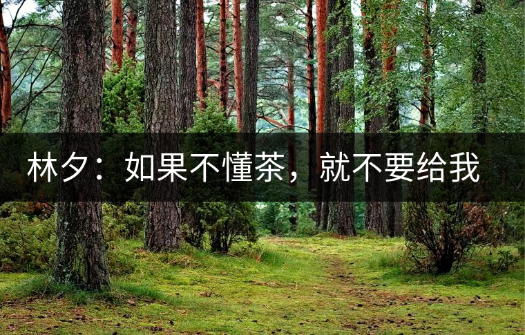 林夕：如果不懂茶，就不要給我送茶