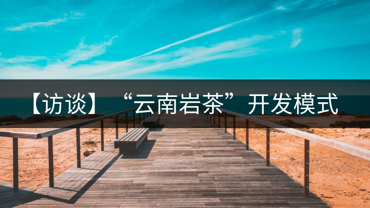【訪(fǎng)談】“云南巖茶”開(kāi)發(fā)模式:古純品牌轉(zhuǎn)型升級(jí)的范本 【訪(fǎng)談】“云南巖茶”開(kāi)發(fā)模式:古純品牌轉(zhuǎn)型升級(jí)的范本