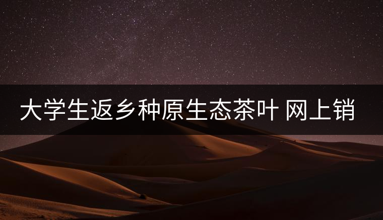 大學生返鄉(xiāng)種原生態(tài)茶葉 網上銷售獲好評