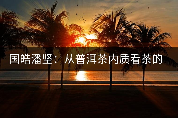 國皓潘堅：從普洱茶內(nèi)質(zhì)看茶的好壞