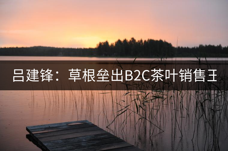 呂建鋒：草根壘出B2C茶葉銷售王國(guó)51普洱網(wǎng)