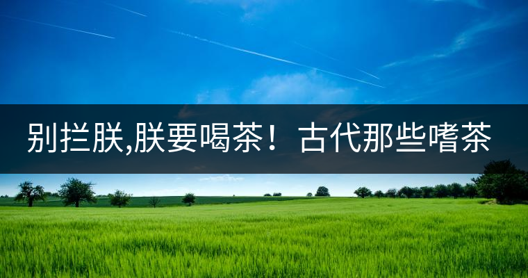 別攔朕,朕要喝茶！古代那些嗜茶如命的皇帝