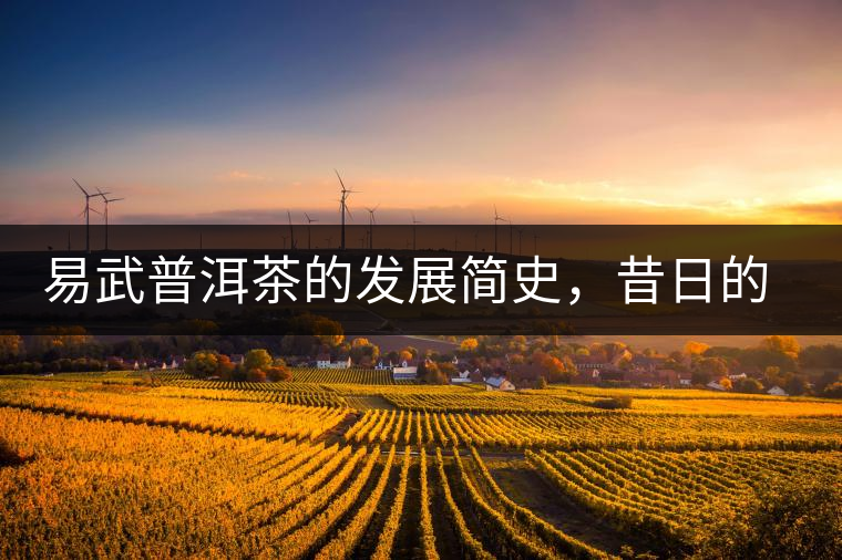 易武普洱茶的發(fā)展簡史，昔日的貢茶如今依然輝煌