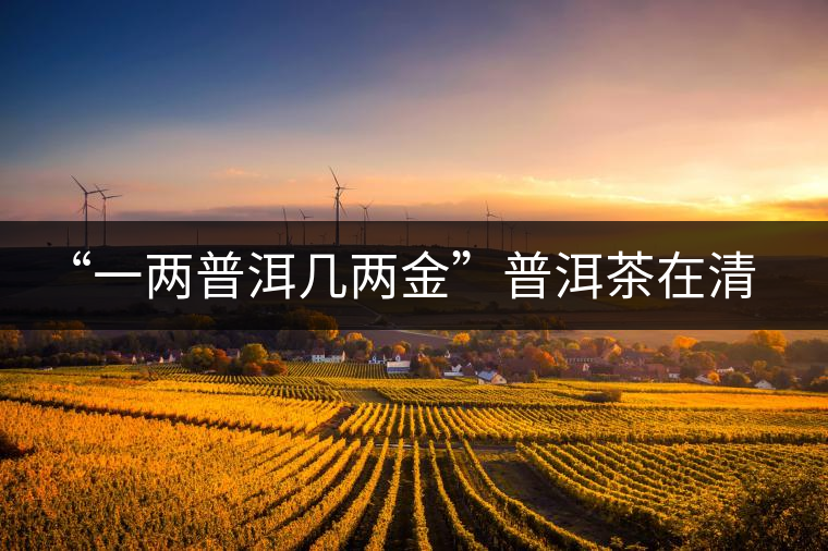 “一兩普洱幾兩金”普洱茶在清代為啥這么火？！