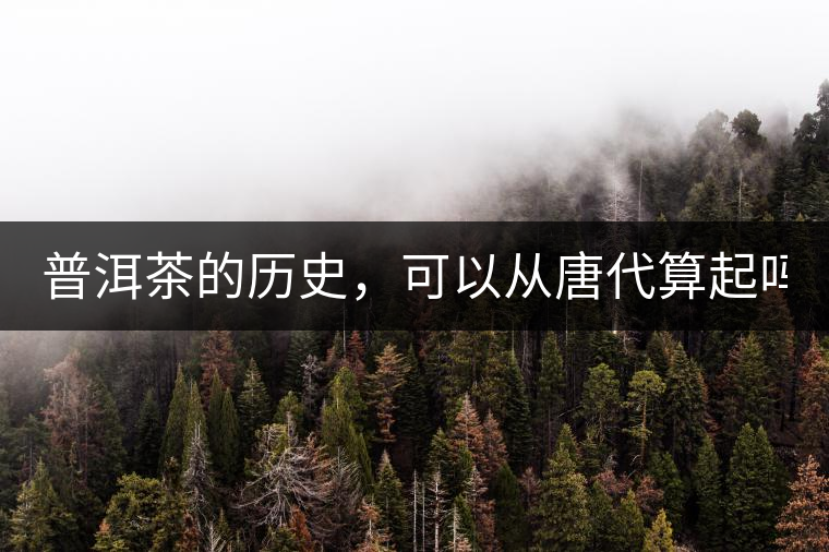 普洱茶的歷史，可以從唐代算起嗎？