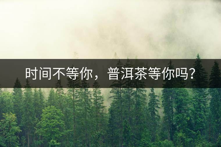 時(shí)間不等你，普洱茶等你嗎？