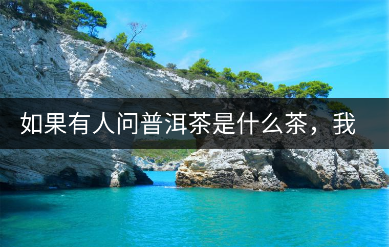 如果有人問普洱茶是什么茶，我就請他看這個段子