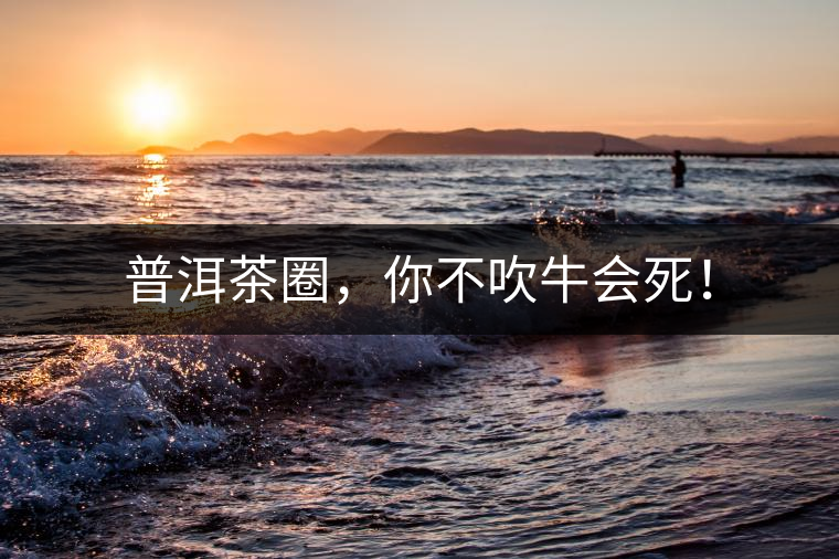 普洱茶圈，你不吹牛會死！