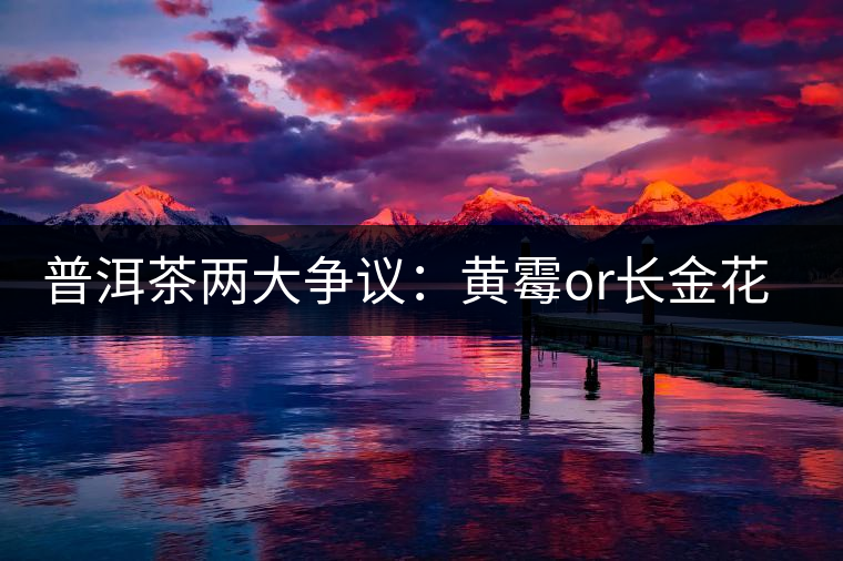 普洱茶兩大爭議：黃霉or長金花，生蟲or蟲屎茶