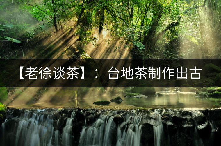 【老徐談茶】：臺(tái)地茶制作出古樹茶口感？只需一招，輕松騙過你 ?