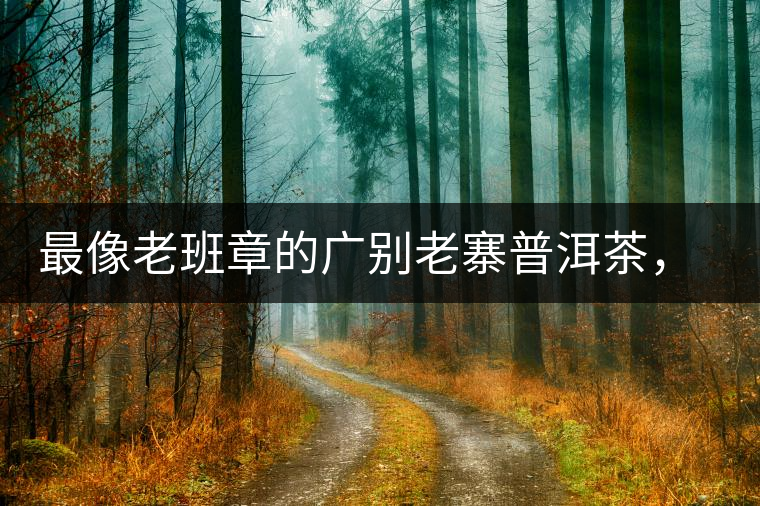 最像老班章的廣別老寨普洱茶，卻是冰島派來的臥底