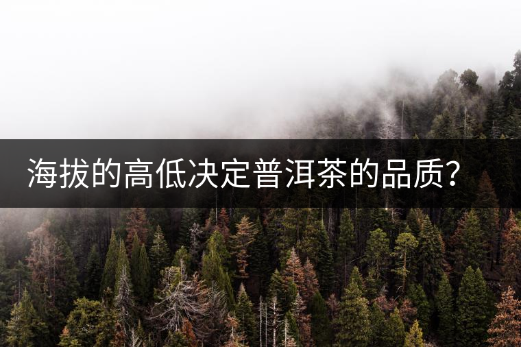 海拔的高低決定普洱茶的品質(zhì)？【附：名山頭茶海拔表】