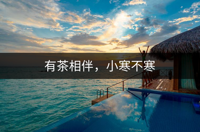 有茶相伴，小寒不寒