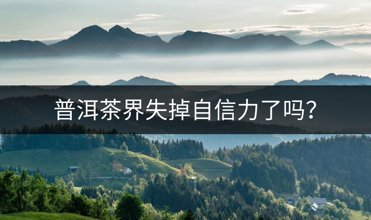 普洱茶界失掉自信力了嗎？