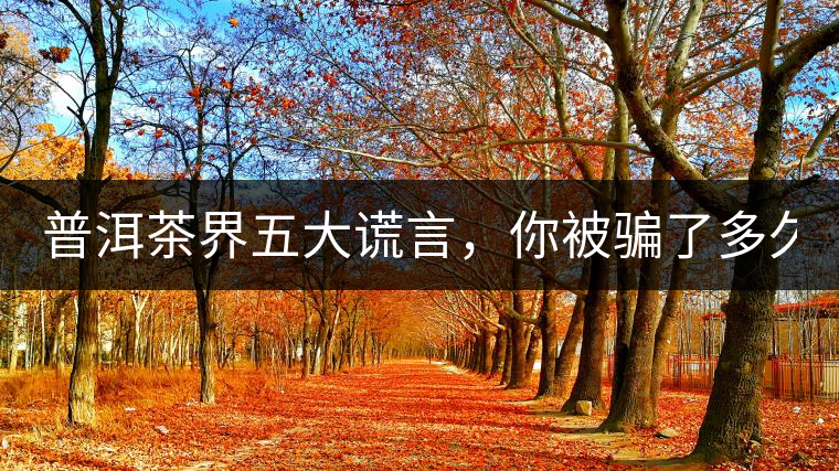 普洱茶界五大謊言，你被騙了多久？