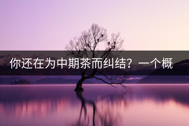 你還在為中期茶而糾結(jié)？一個概念罷了