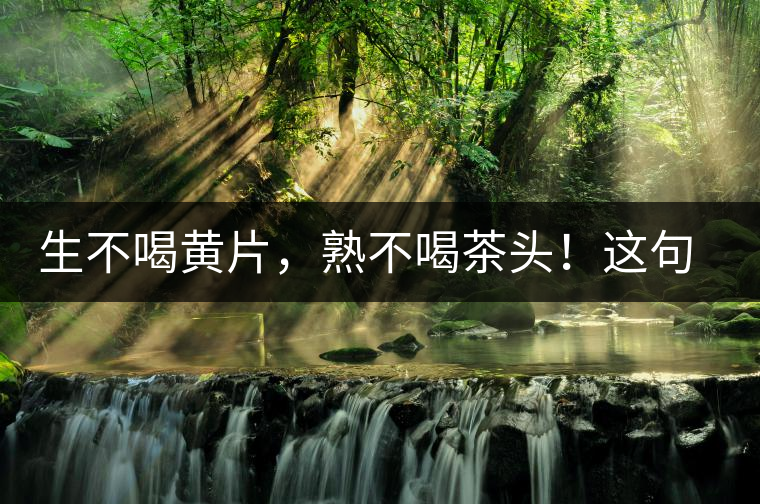 生不喝黃片，熟不喝茶頭！這句話你了解多少？