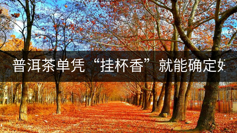 普洱茶單憑“掛杯香”就能確定好壞？you錯了！