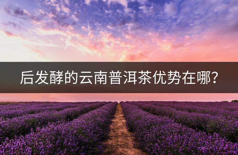 后發(fā)酵的云南普洱茶優(yōu)勢在哪？