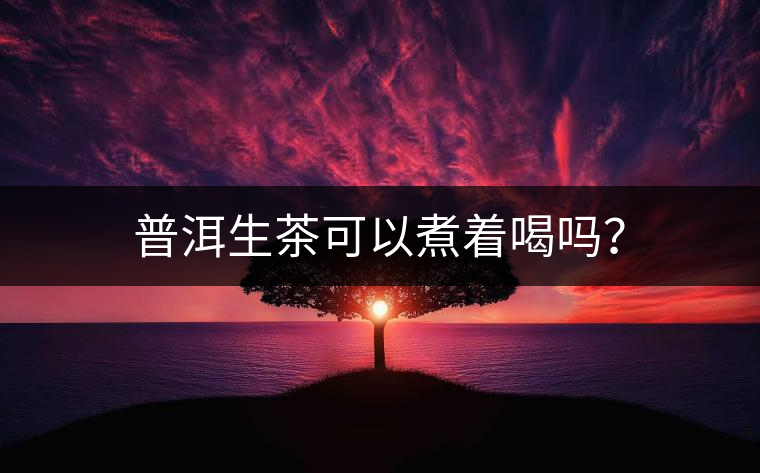 普洱生茶可以煮著喝嗎？
