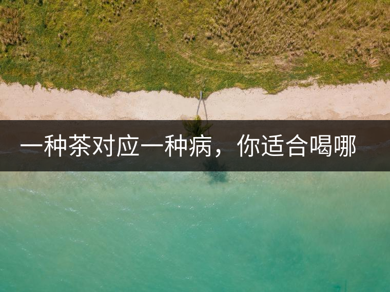 一種茶對應一種病，你適合喝哪一種呢？