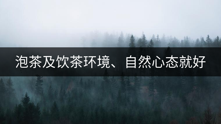 泡茶及飲茶環(huán)境、自然心態(tài)就好