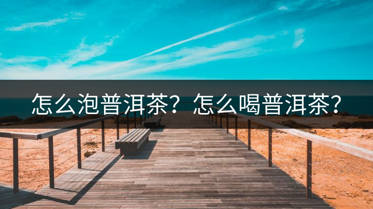 怎么泡普洱茶？怎么喝普洱茶？