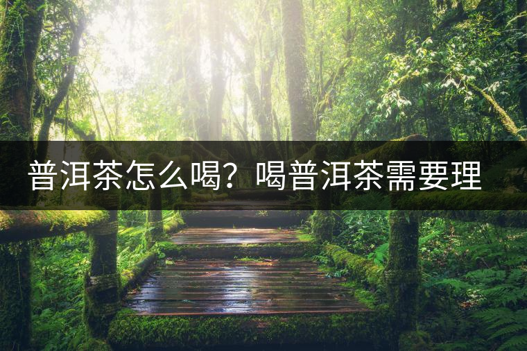 普洱茶怎么喝？喝普洱茶需要理由嗎？