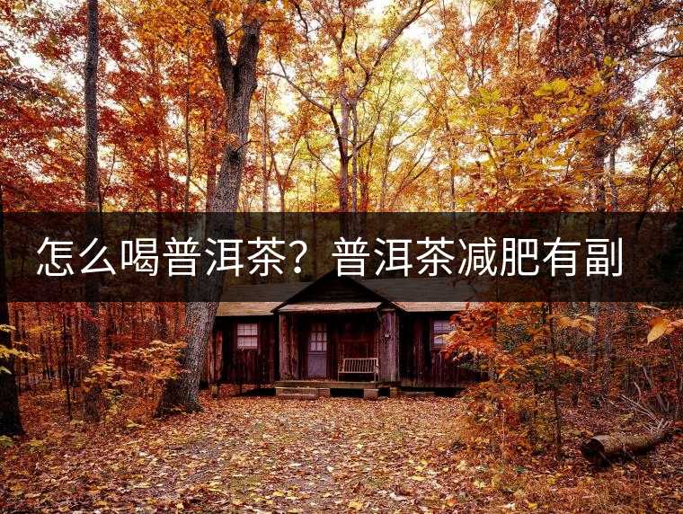 怎么喝普洱茶？普洱茶減肥有副作用嗎？