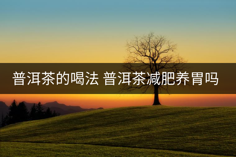 普洱茶的喝法 普洱茶減肥養(yǎng)胃嗎？