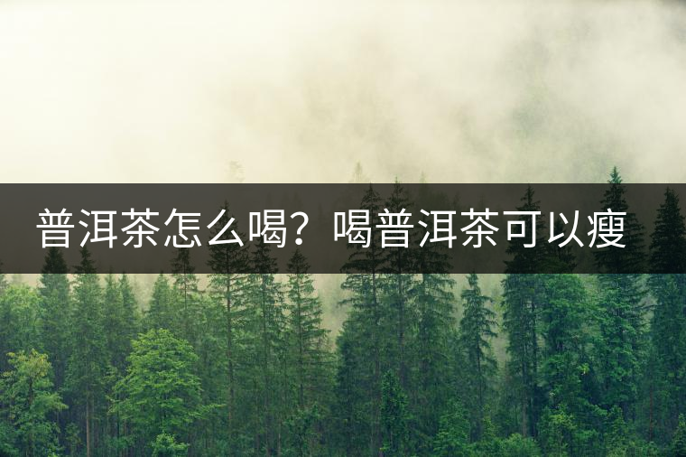 普洱茶怎么喝？喝普洱茶可以瘦腹嗎？