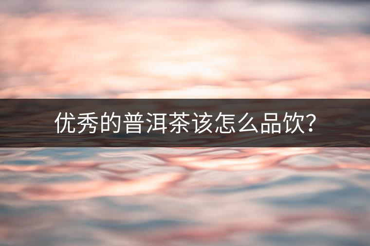 優(yōu)秀的普洱茶該怎么品飲？