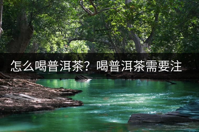 怎么喝普洱茶？喝普洱茶需要注意的要點(diǎn)